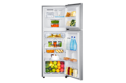 Samsung 2-Door Refrigerator (234L) Digital Inverter with Coolpack (RT22FARBDS8/UN)